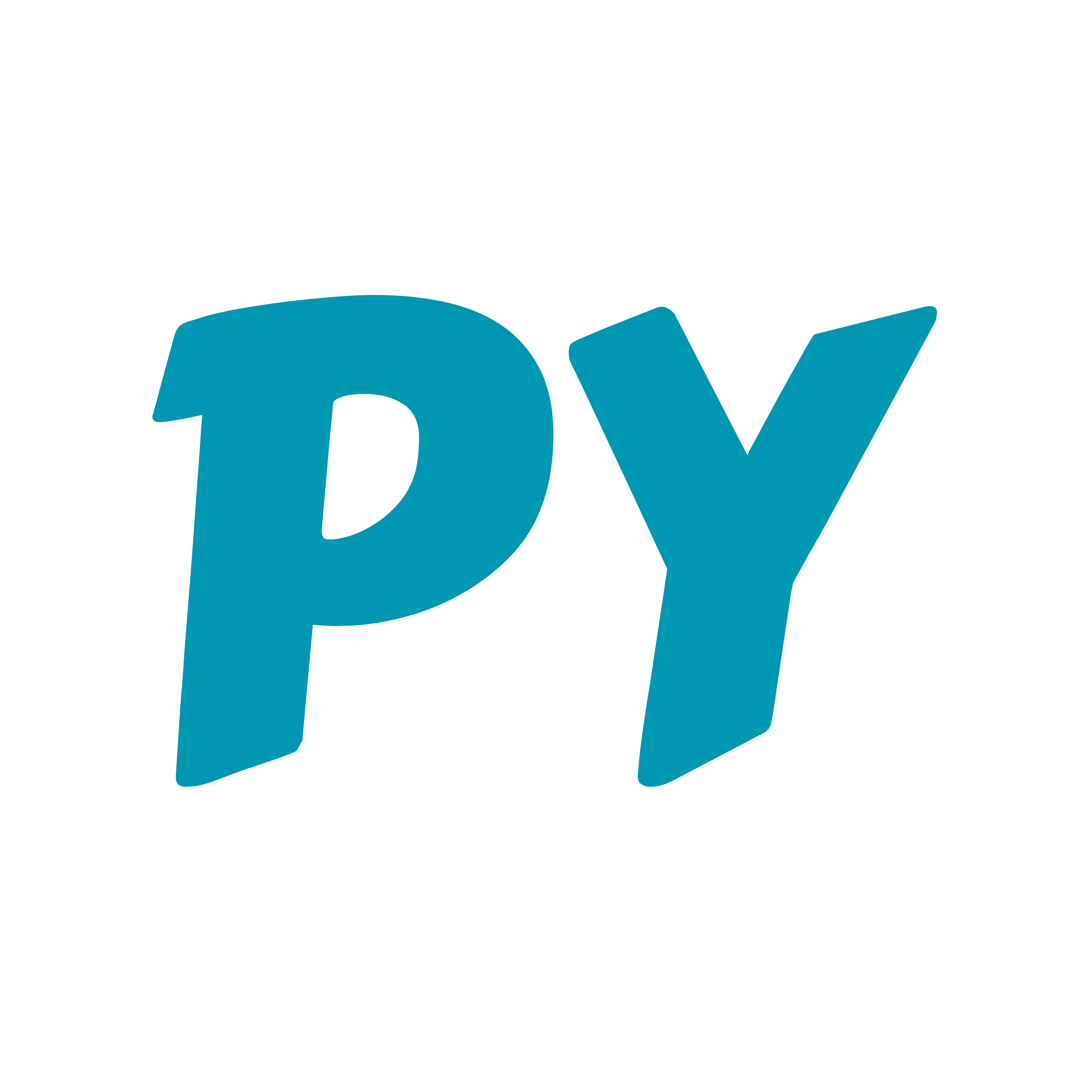 pijatyuk-test.pages.dev favicon